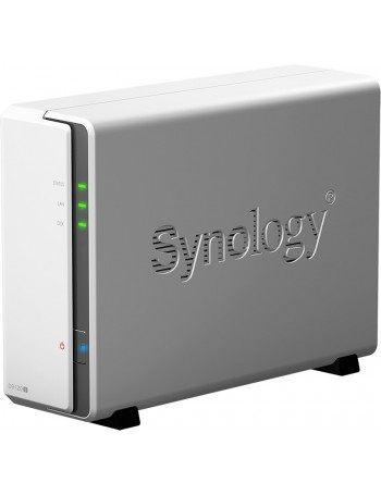 Synology DiskStation DS120j Ethernet LAN Torre Cinzento NAS