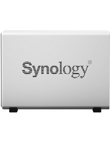 Synology DiskStation DS120j Ethernet LAN Torre Cinzento NAS