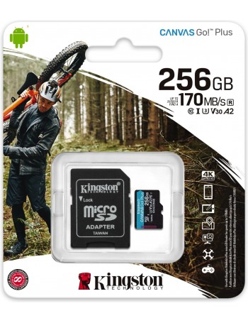 Kingston Technology Canvas Go! Plus cartão de memória 256 GB SD Classe 10 UHS-I