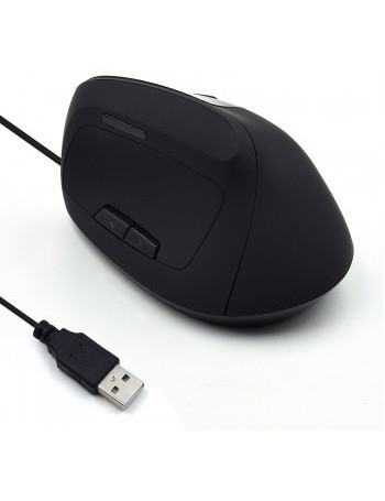 Ewent EW3157 rato USB Type-A Ótico 1800 DPI Mão direita