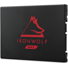 Seagate IronWolf 125