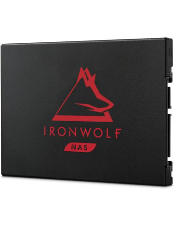 Seagate IronWolf 125