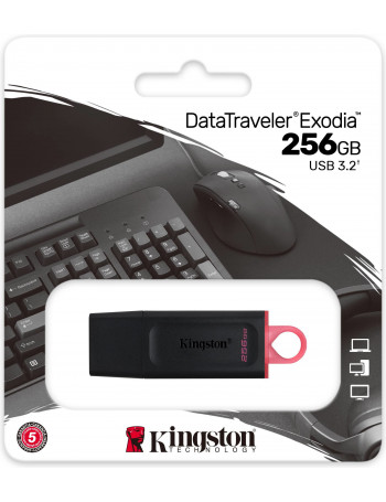 Kingston Technology DataTraveler Exodia unidade de memória USB 256 GB USB Type-A 3.2 Gen 1 (3.1 Gen 1) Preto