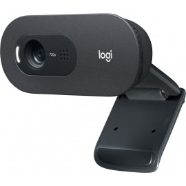 Logitech C505 webcam 1280 x 720 pixels USB Preto