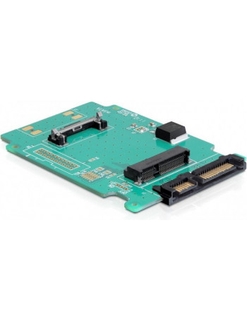 DeLOCK 61881 placa adaptador de interface Interno mSATA