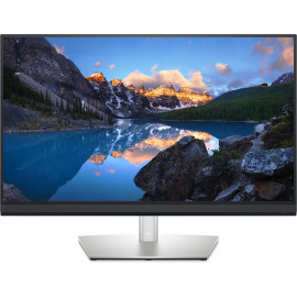 DELL UltraSharp UP3221Q 80 cm (31.5") 3840 x 2160 pixels 4K Ultra HD LCD Preto, Prateado