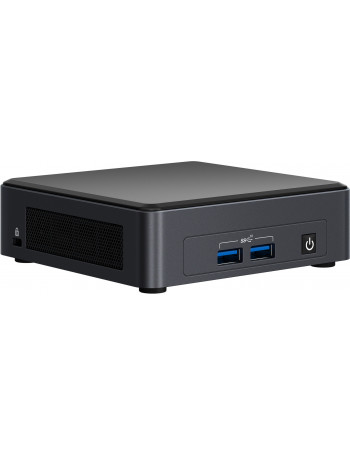 Intel NUC 11 Pro UCFF Preto i7-1165G7