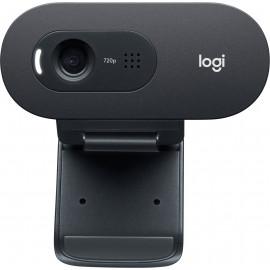 Logitech C505e webcam 1280 x 720 pixels USB Preto