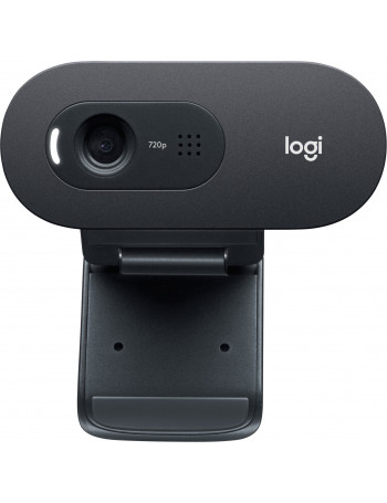 Logitech C505e webcam 1280 x 720 pixels USB Preto