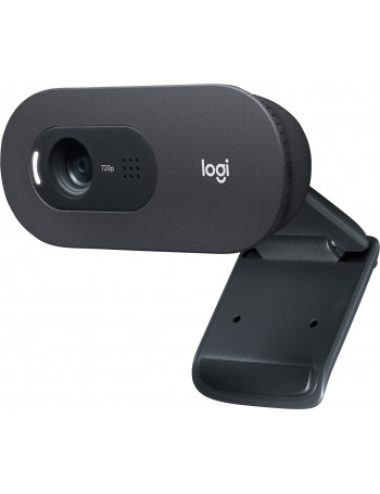 Logitech C505e webcam 1280 x 720 pixels USB Preto