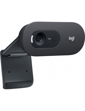 Logitech C505e webcam 1280 x 720 pixels USB Preto