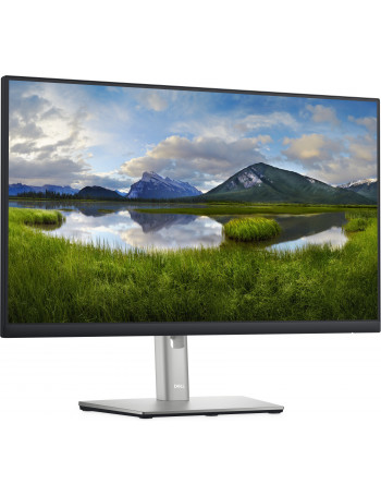 DELL P2422H 60,5 cm (23.8") 1920 x 1080 pixels Full HD LCD Preto