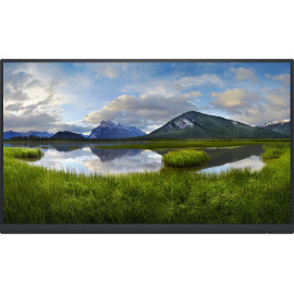 DELL P2222H_WOST 54,6 cm (21.5") 1920 x 1080 pixels Full HD LCD Preto