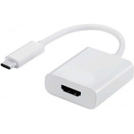 Ewent EW-139501-001-N-P adaptador gráfico USB Branco