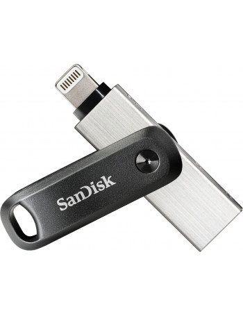 SanDisk SDIX60N-256G-GN6NE unidade de memória USB 256 GB 3.2 Gen 1 (3.1 Gen 1) Cinzento, Prateado