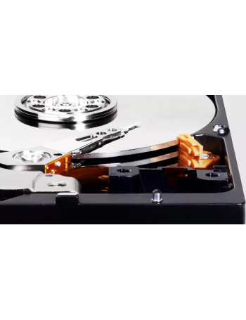 Western Digital Blue 3.5" 4000 GB SATA