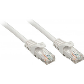 Lindy Rj45 Rj45 Cat6 0.3m cabo de rede Cinzento 0,3 m U UTP (UTP)