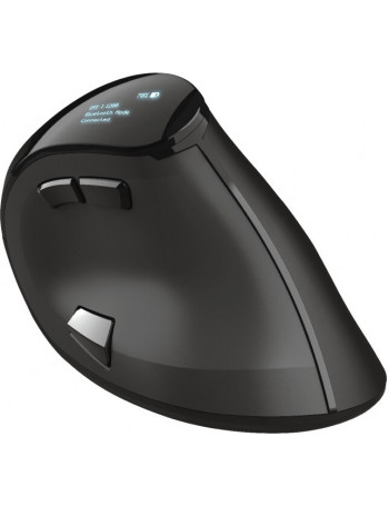 Trust Voxx rato Mão direita RF Wireless+Bluetooth Ótico 2400 DPI
