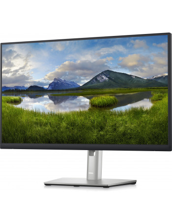 DELL P Series P2423D 60,5 cm (23.8") 2560 x 1440 pixels Quad HD LCD Preto, Prateado