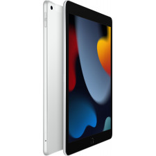 Apple iPad 4G LTE 256 GB 25,9 cm (10.2") 3 GB Wi-Fi 5 (802.11ac) iPadOS 15 Prateado