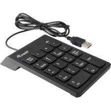 Equip 245205 teclado numérico Universal USB Preto