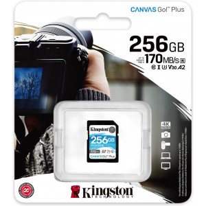 Kingston Technology Canvas Go! Plus 256 GB SD UHS-I Classe 10