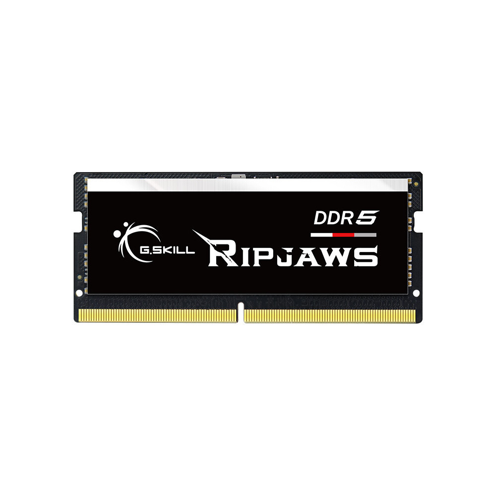 G.Skill Ripjaws F5-4800S4039A16GX1-RS módulo de memória 16 GB 1 x 16 GB DDR5 4800 MHz