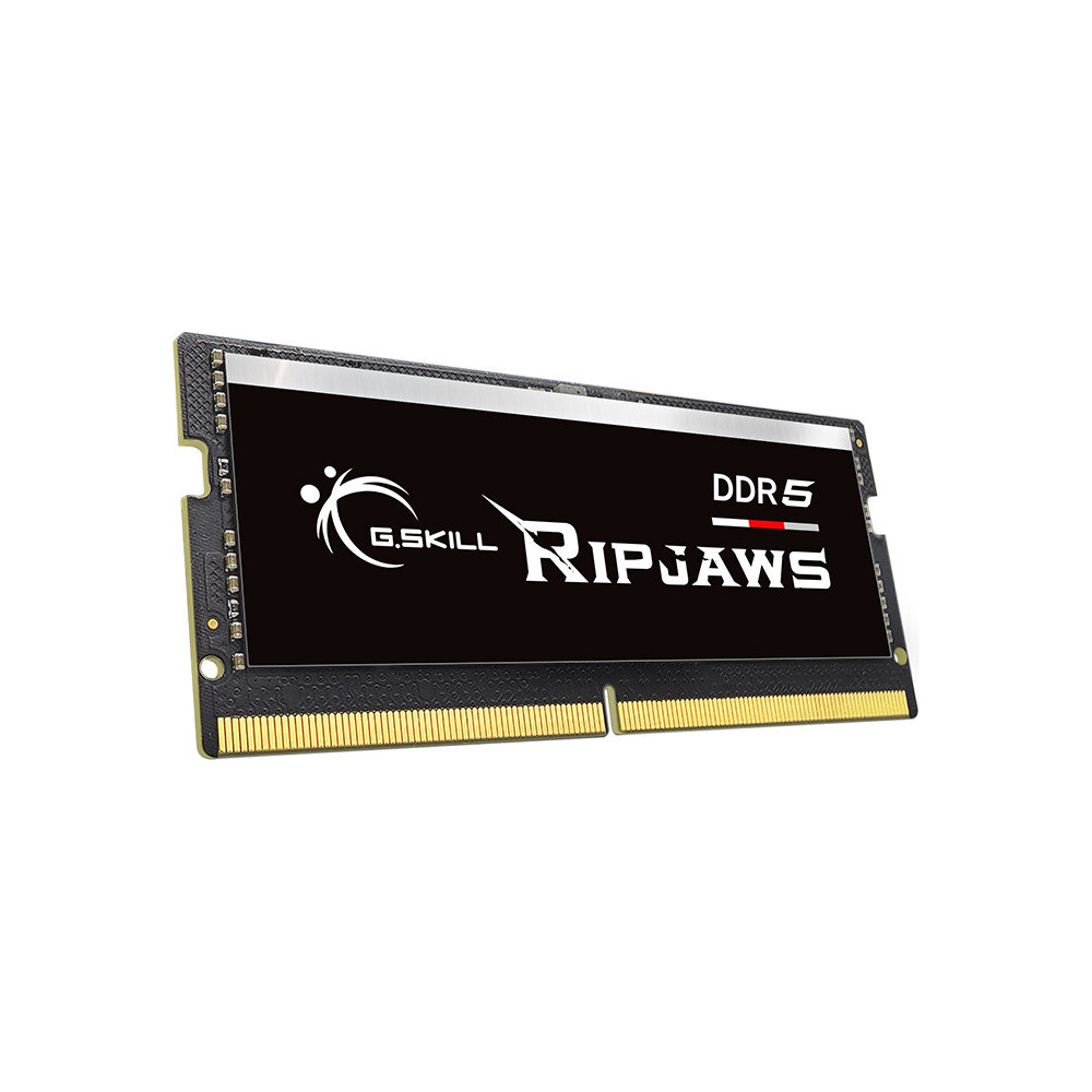 G.Skill Ripjaws F5-4800S4039A16GX1-RS módulo de memória 16 GB 1 x 16 GB DDR5 4800 MHz