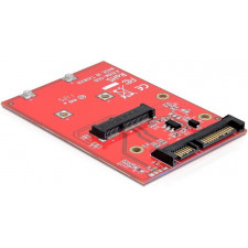 DeLOCK 61892 placa adaptador de interface Interno mSATA