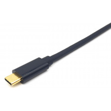 Equip 133428 adaptador de cabo de vídeo 3 m USB Type-C DisplayPort Cinzento