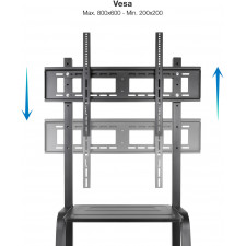 TooQ Coloso 2,54 m (100") Preto