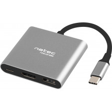 NATEC Fowler Mini USB 2.0 Type-C Cinzento