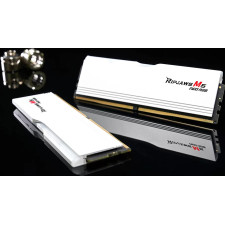 G.Skill Ripjaws M5 RGB F5-6000J3648D16GX2-RM5NRW módulo de memória 32 GB 2 x 16 GB DDR5