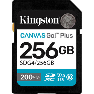 Kingston Technology Canvas Go! Plus 256 GB SDXC UHS-I Classe 10