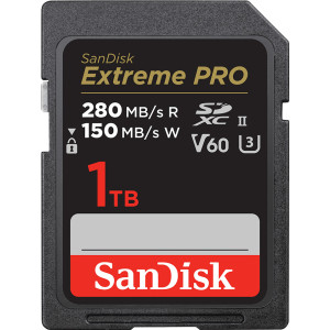 SanDisk SDSDXEP-1T00-GN4IN cartão de memória 1 TB SDXC UHS-II Classe 10