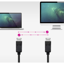 Nanocable 10.15.2801-L150 cabo DisplayPort 1,5 m Preto
