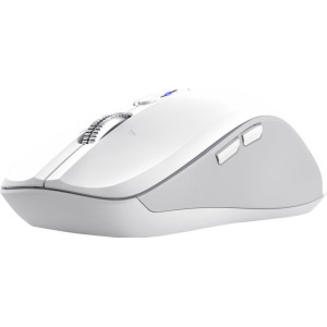 Trust 25674 rato Universal Ambidestro Bluetooth 3200 DPI