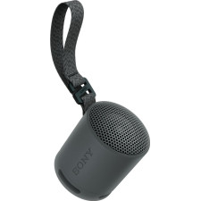 Sony SRS-XB100 Coluna portátil mono Preto