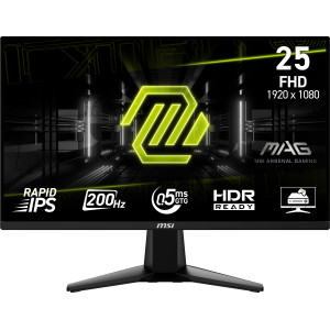 MSI MAG 255F E20 monitor de ecrã 62,2 cm (24.5") 1920 x 1080 pixels Full HD LCD Preto