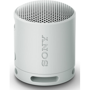 Sony SRS-XB100 Coluna portátil mono Cinzento