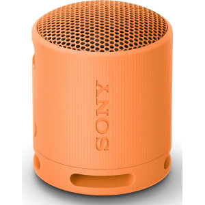 Sony SRS-XB100 Coluna portátil mono Laranja